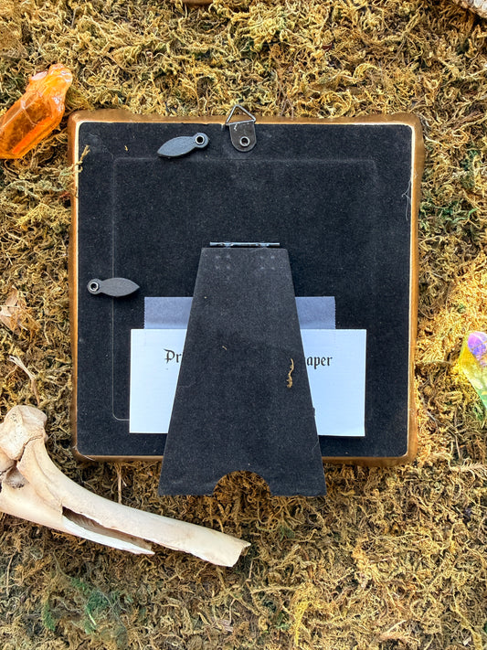 Framed "Expectation" Art Piece