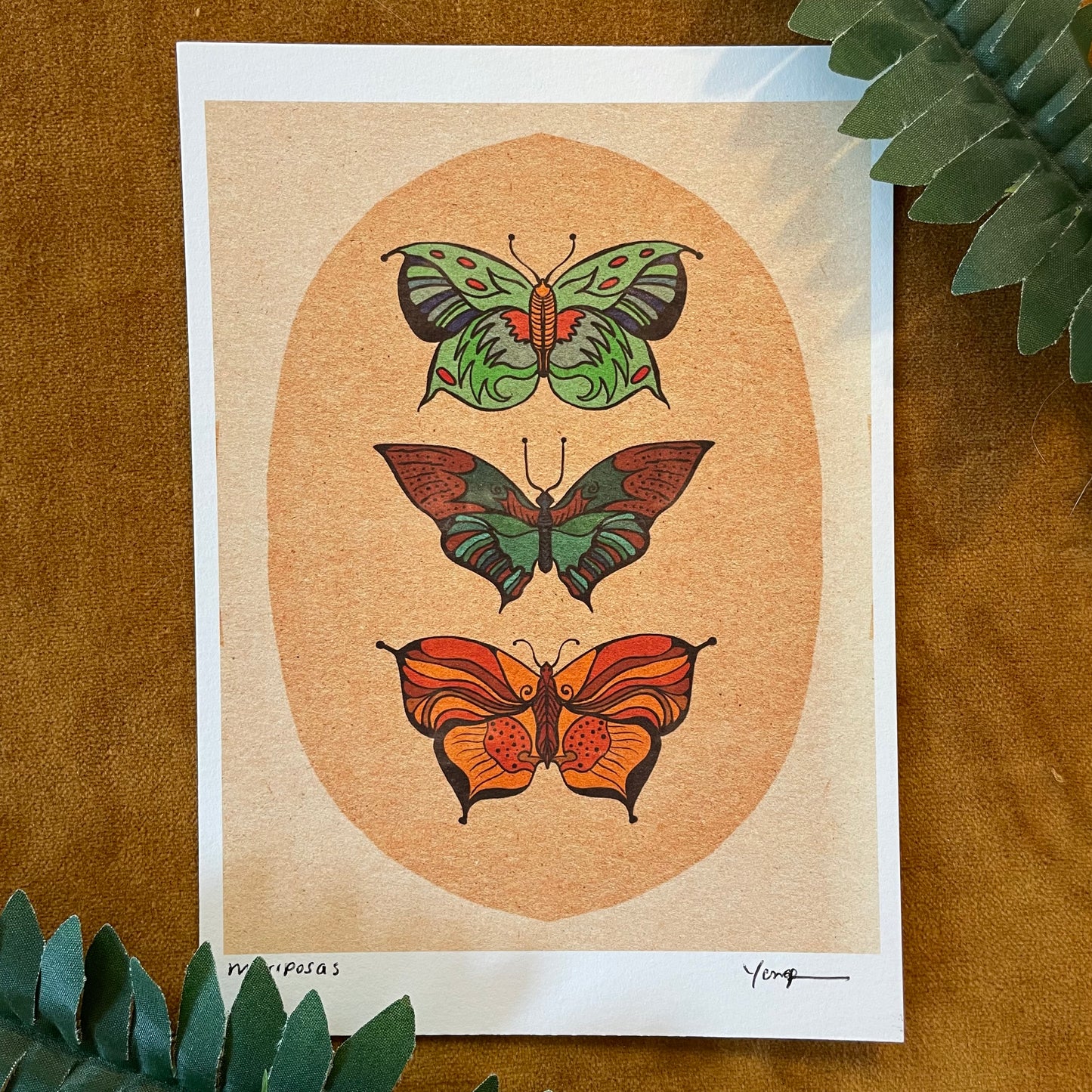 Mariposas