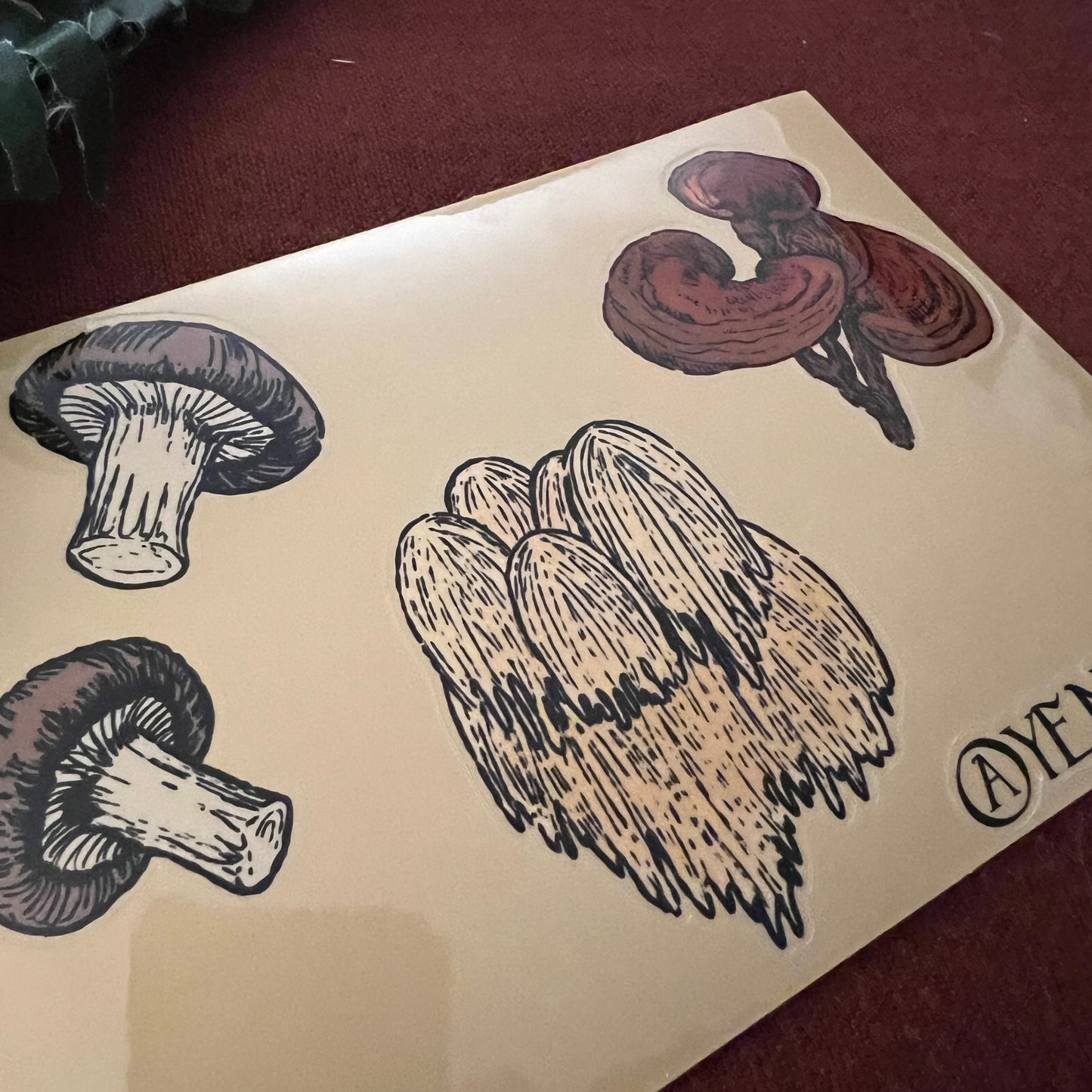 Seta" Sticker Sheet"