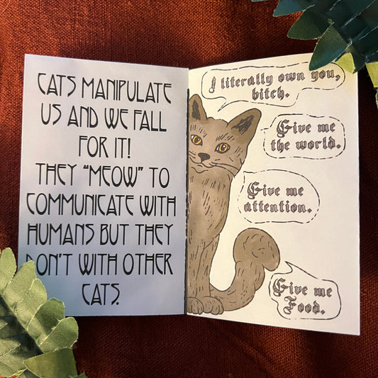 “Cat Facts You Probably Didn’t Know” Zine