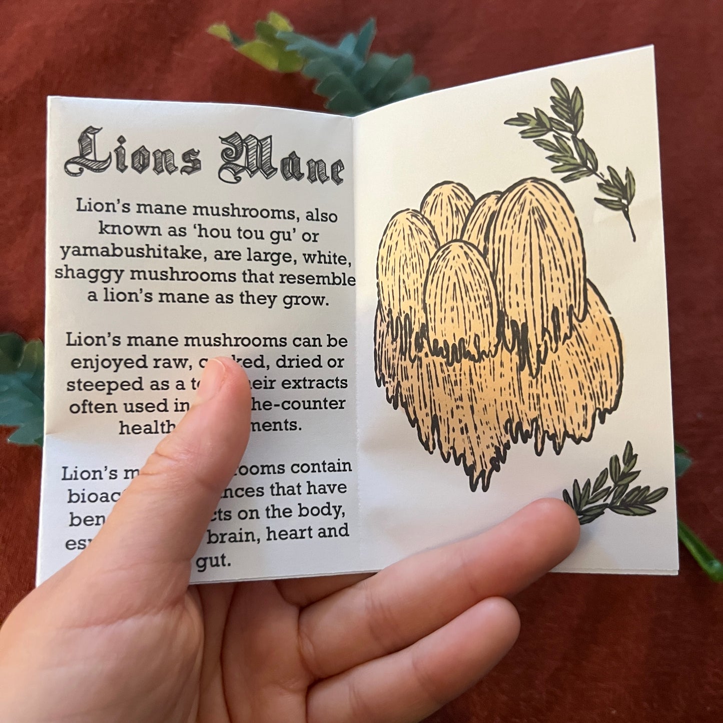"Things You Should Know About Mushrooms" Zine