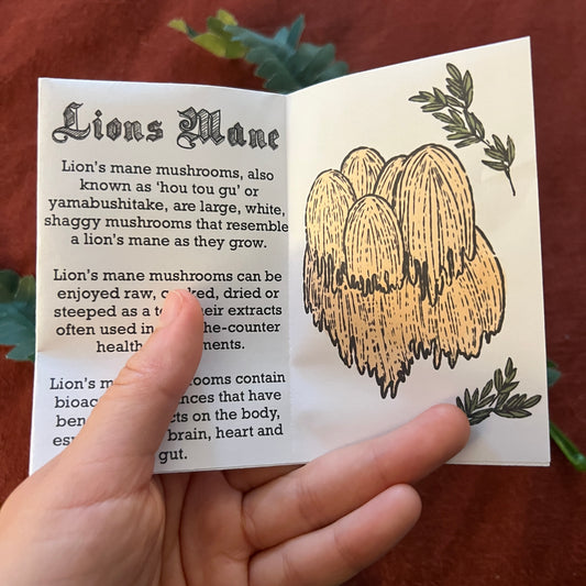 "Things You Should Know About Mushrooms" Zine