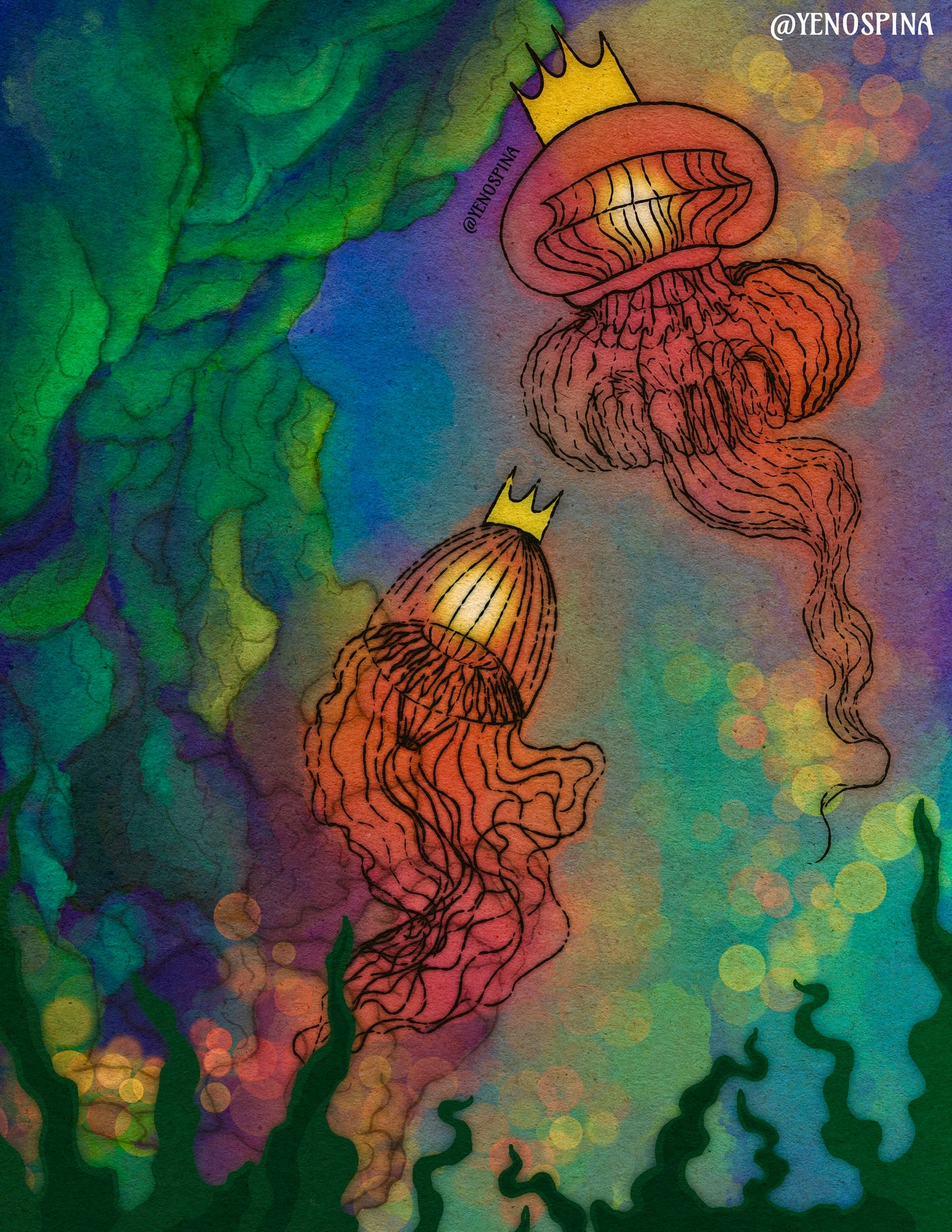 Jellyfish