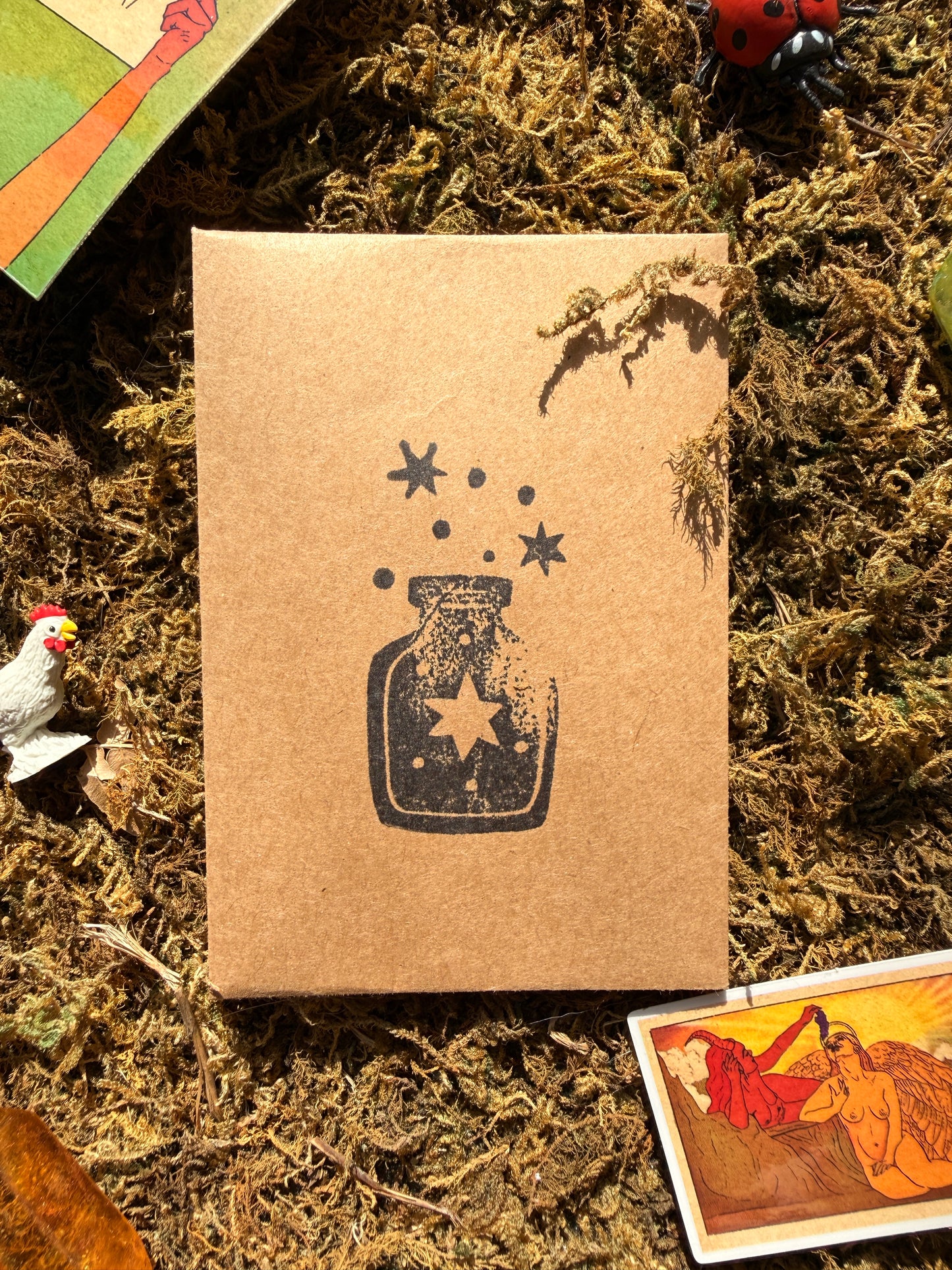 Mystery Familiar & Sticker 1