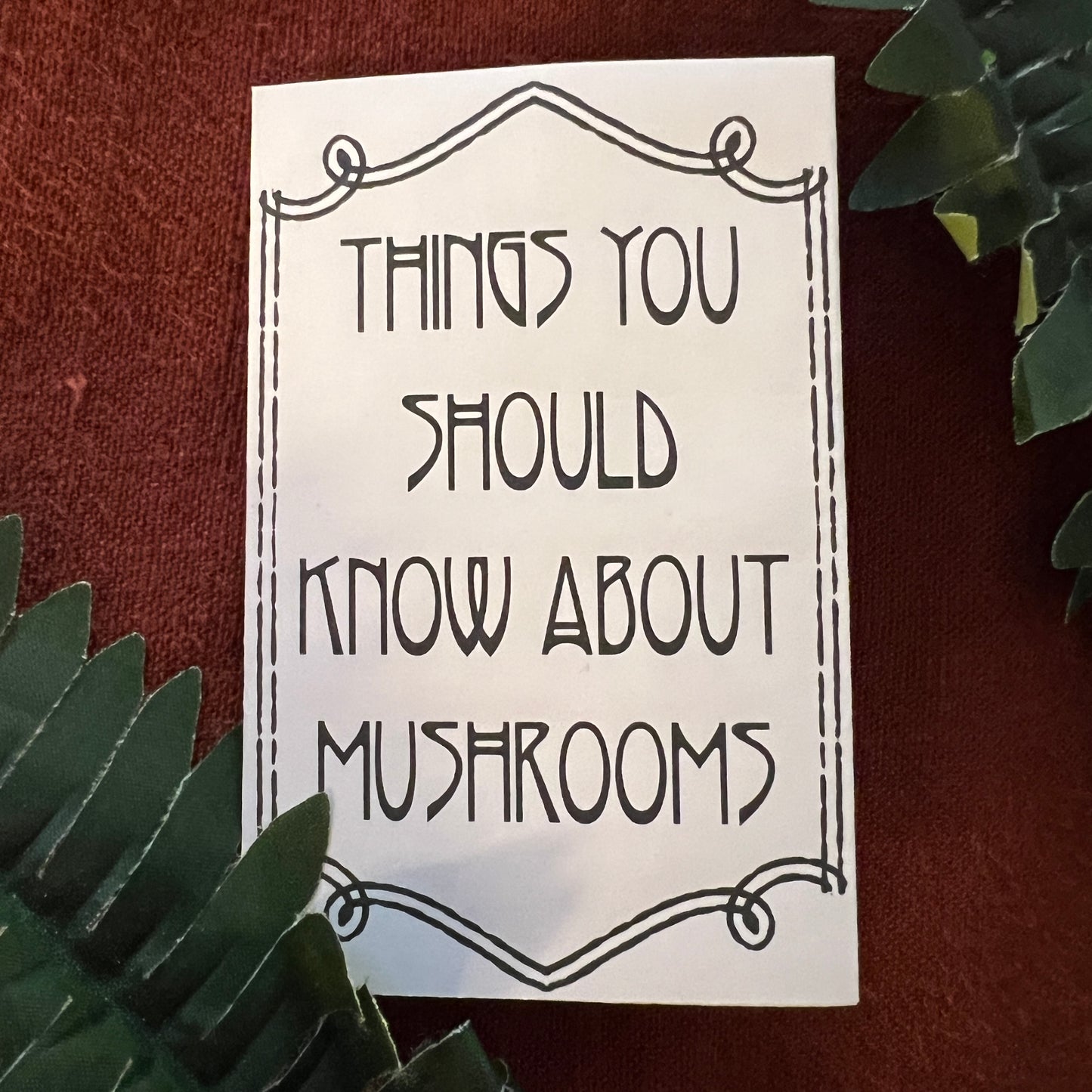 "Things You Should Know About Mushrooms" Zine