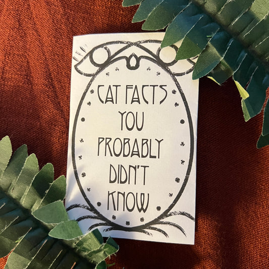 “Cat Facts You Probably Didn’t Know” Zine